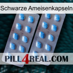 Black Ant Capsules viagra4
